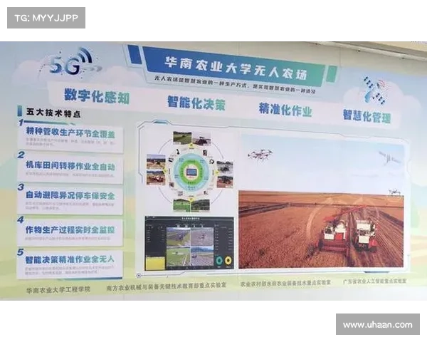 28在线走势图分析与预测技巧揭秘,掌握数字规律助力精准决策 28在线走势图分析与预测技巧揭秘,掌握数字规律助力精准决策